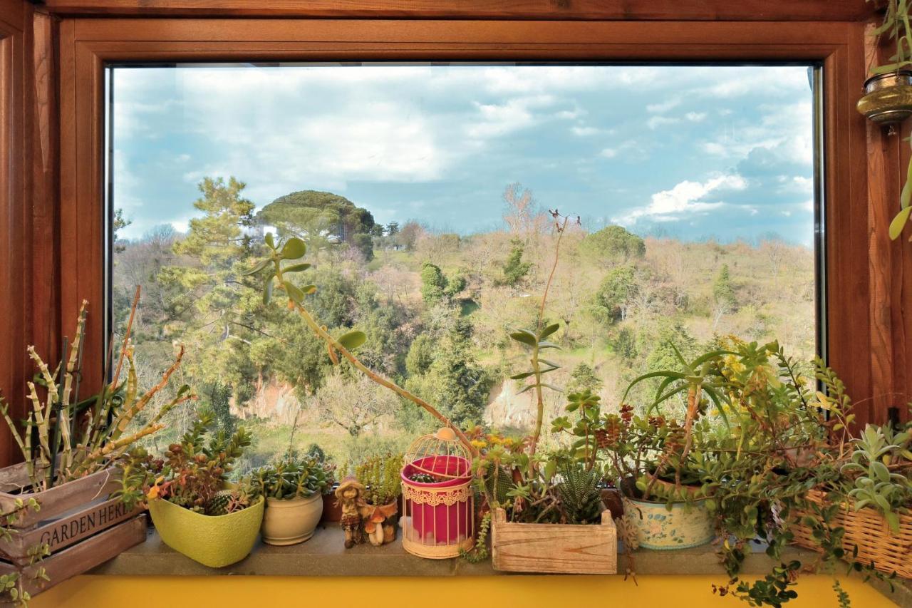 La Casetta Della Nonna Bagnoregio Exteriör bild