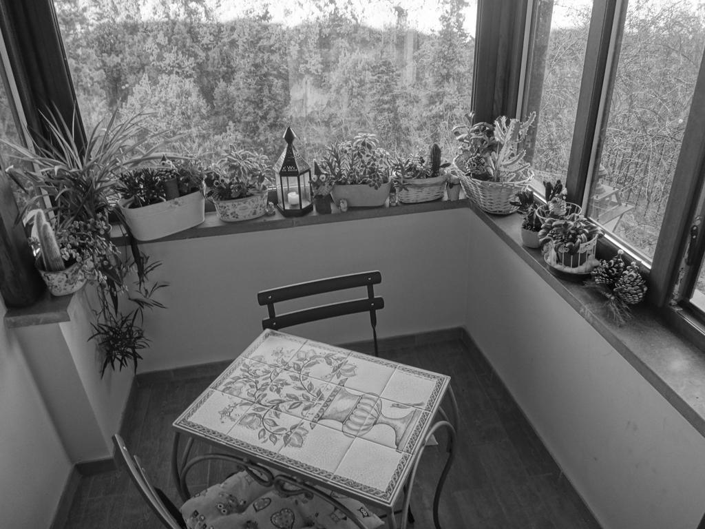 La Casetta Della Nonna Bagnoregio Rum bild